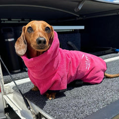 SaltyDOG Beach & Bath Drying Robe Fiesta Pink on dachshund