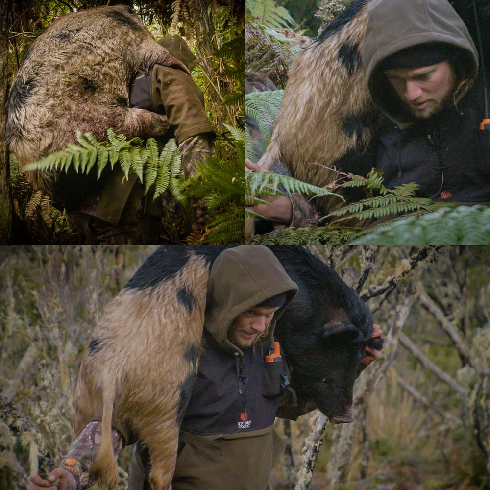 Stoney Creek The Big Dog Wander Outdoors