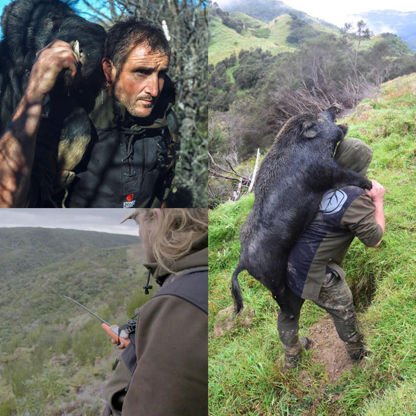 Stoney Creek The Big Dog