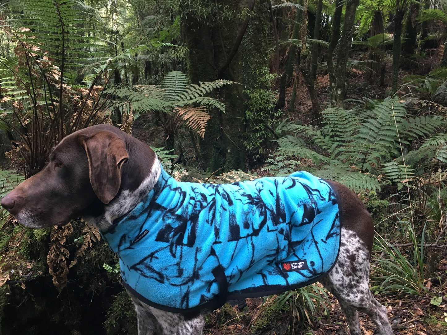 Stoney Creek Jones Dog Coat - Wander Outdoors