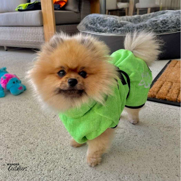 SaltyDOG Beach & Bath Drying Robe Caribbean Green on Pomeranian