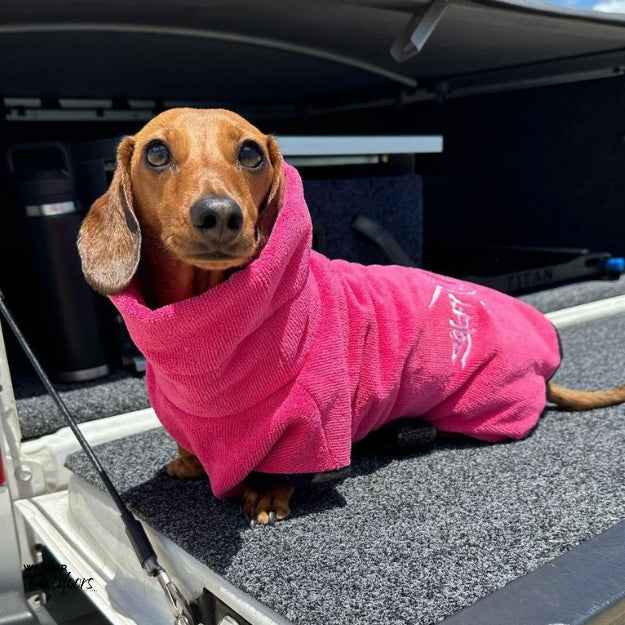 SaltyDOG Beach & Bath Drying Robe Fiesta Pink on dachshund