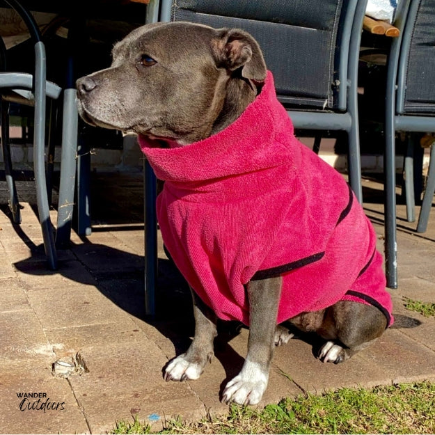 SaltyDOG Beach & Bath Drying Robe on Staffy