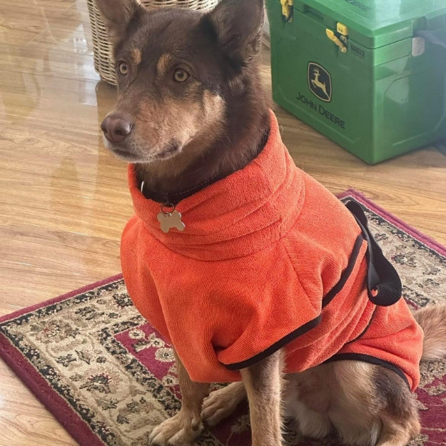 SaltyDOG Beach & Bath Drying Robe Malibu Orange on Kelpie