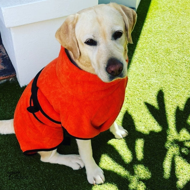 SaltyDOG Beach & Bath Drying Robe Malibu Orange on Labradore