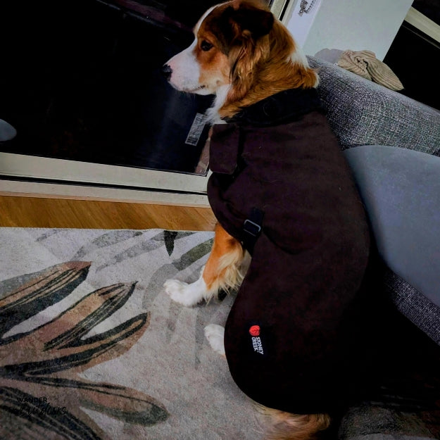 Stoney Creek Waterproof Dog Coat Rusty