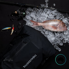 Fishing rod, tackle box, and fish on ice with a dark background