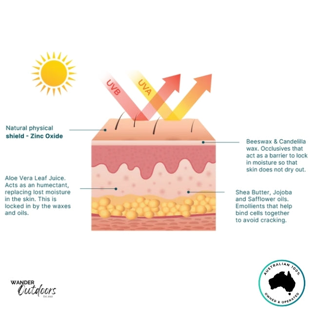 Illustration showing how Wotnot Naturals SPF 50 Zinc Sunscreen Matte Finish protects skin using zinc oxide and moisturising ingredients.